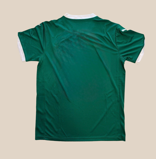 Prima Maglia Palmeiras 25/26