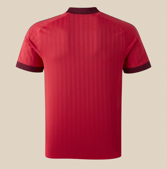 Terza Maglia Lione 26/27