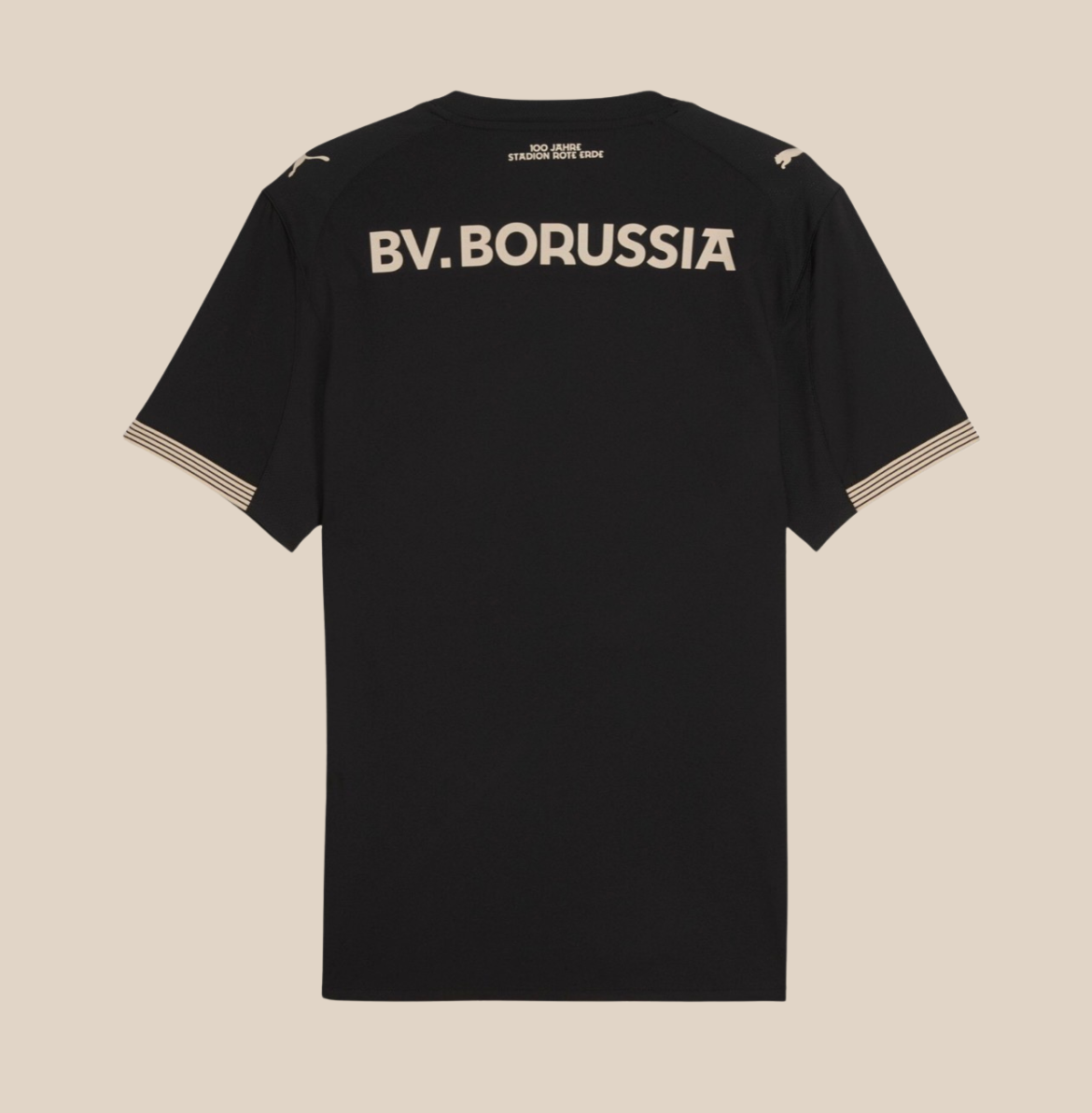 Terza Maglia Borussia Dortmund 25/26