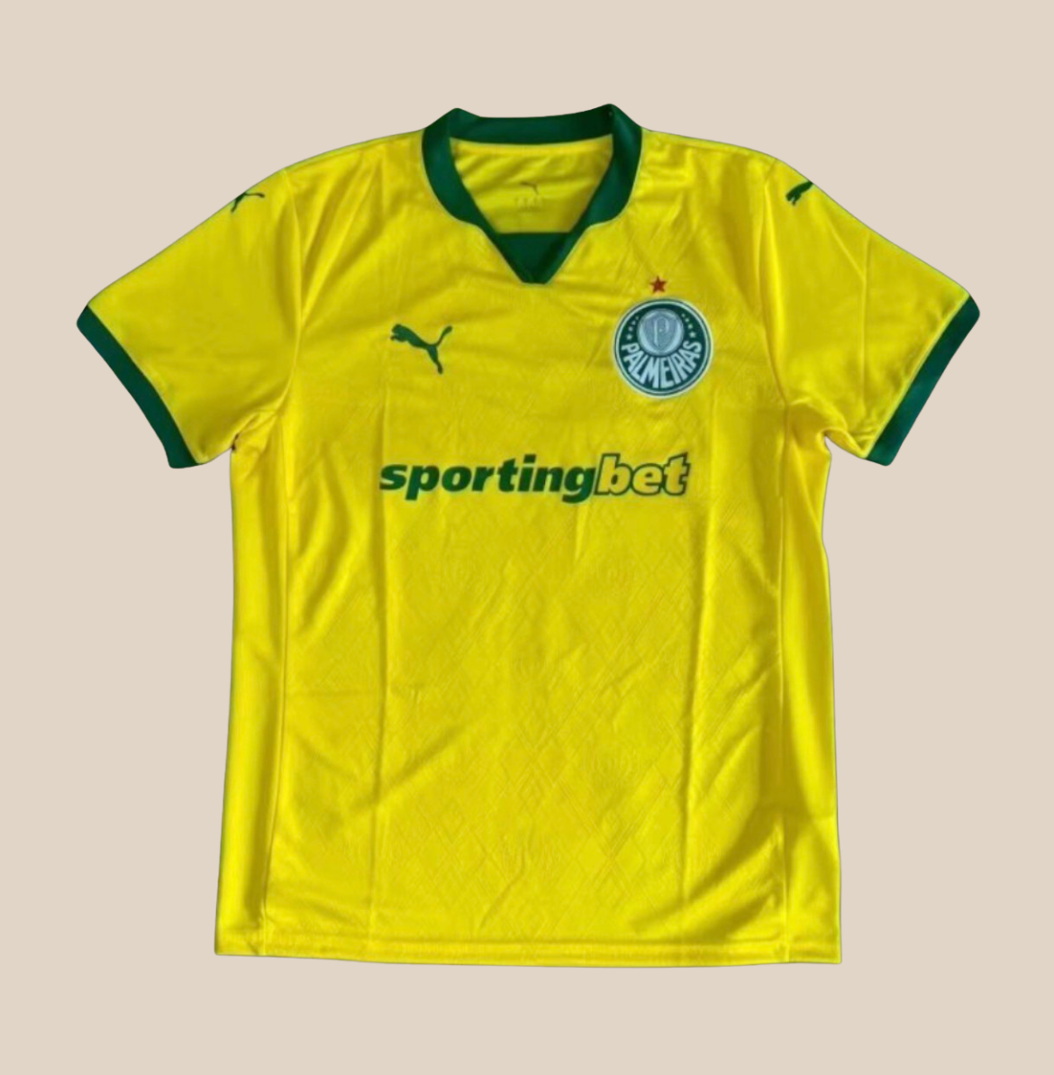 Terza Maglia Palmeiras 25/26
